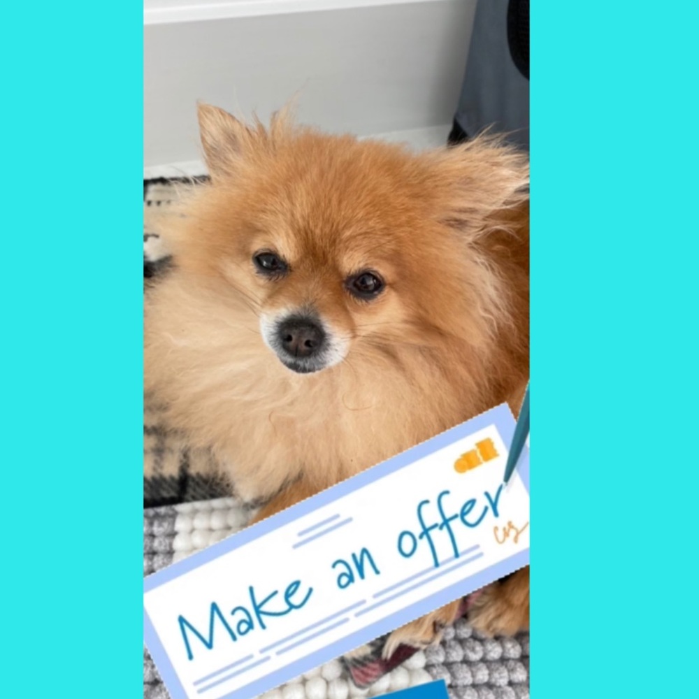 Make us an offer!
